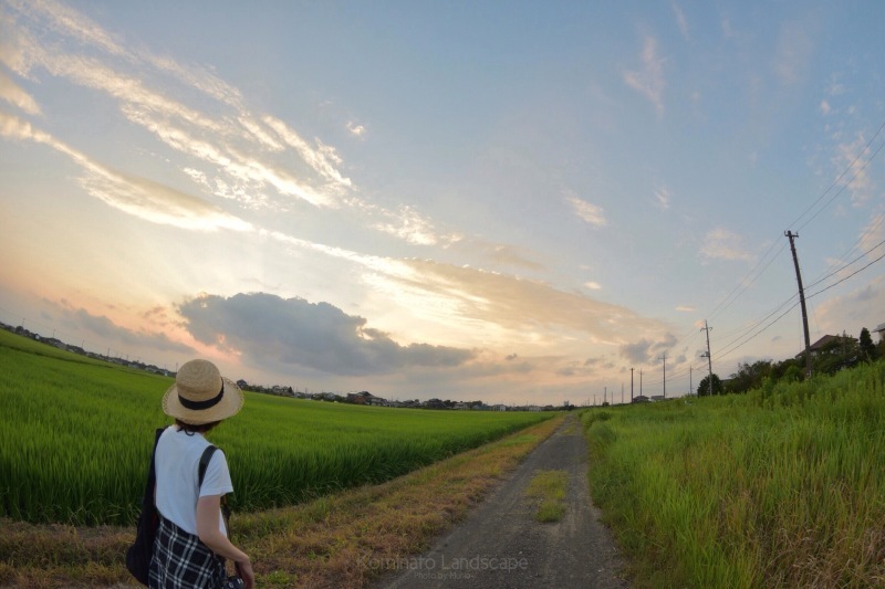 夕焼け待ちの小湊鉄道_f0321522_10042723.jpg