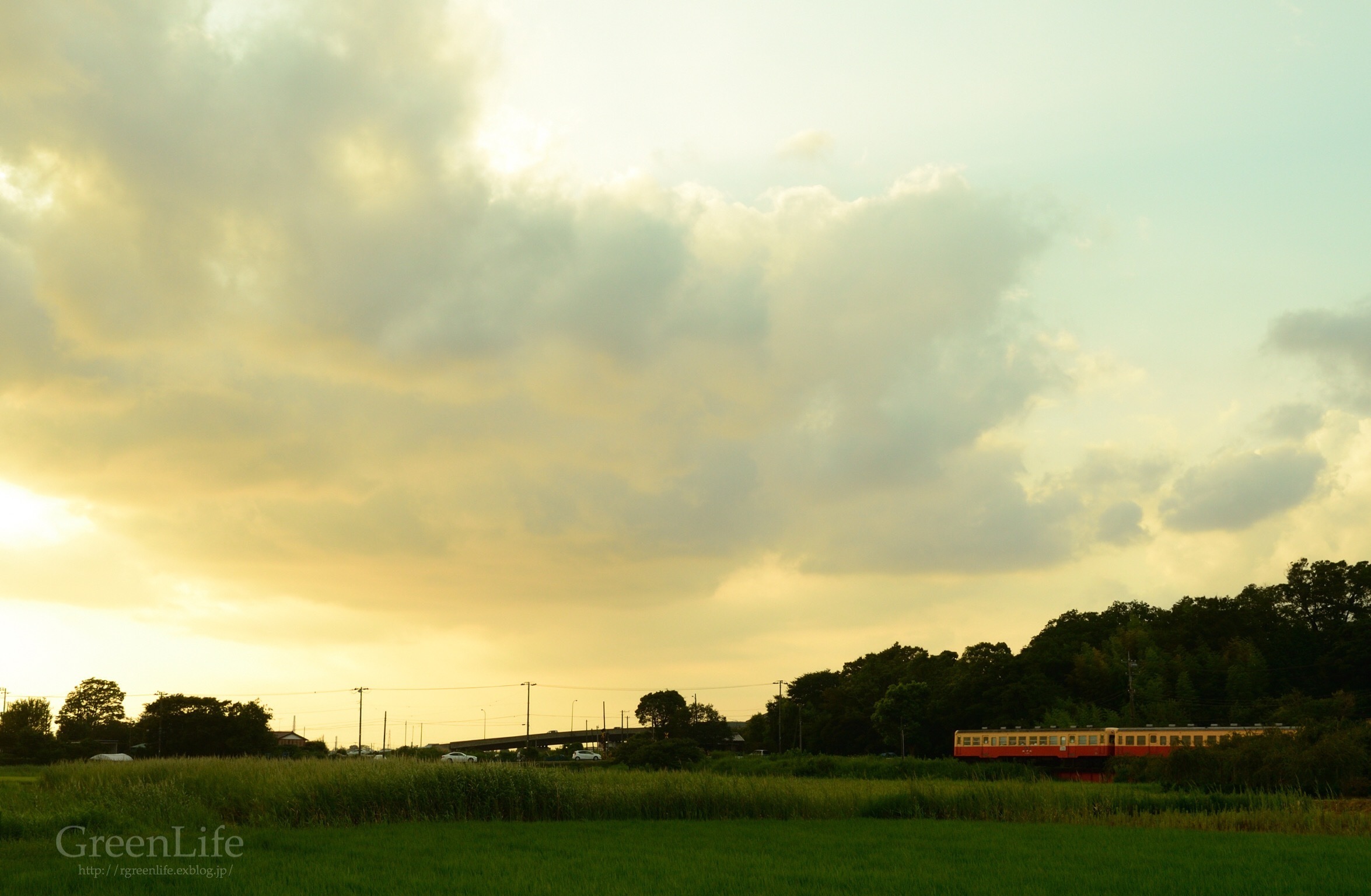 夕焼け待ちの小湊鉄道_f0321522_10092454.jpg