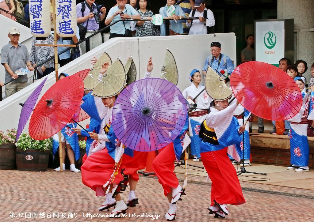 第32回南越谷阿波踊り・・・1_e0052135_16432318.jpg