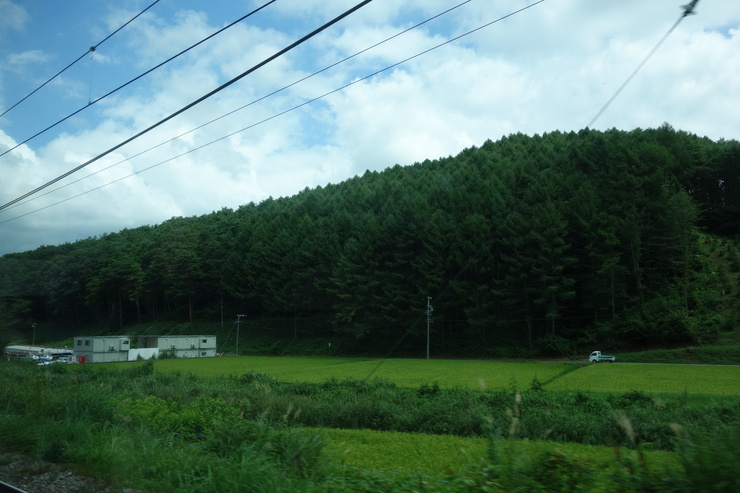 a0287336_235231.jpg