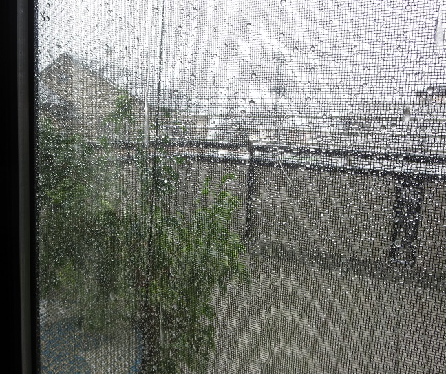 台風9号　上陸！！_b0301236_15370115.jpg