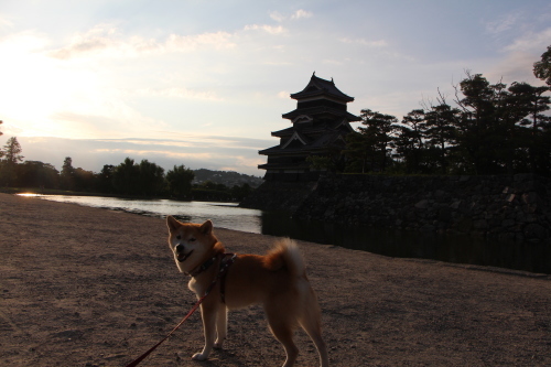 柴っ子とお盆旅　～松本城を散策してみる～_f0245650_13271622.jpg