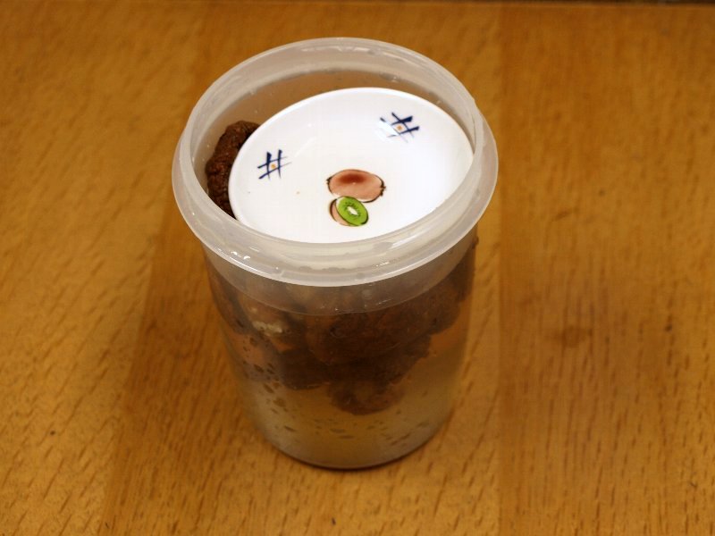 ☆お気に入り・果物柄のプチ小皿☆_c0092953_11364499.jpg