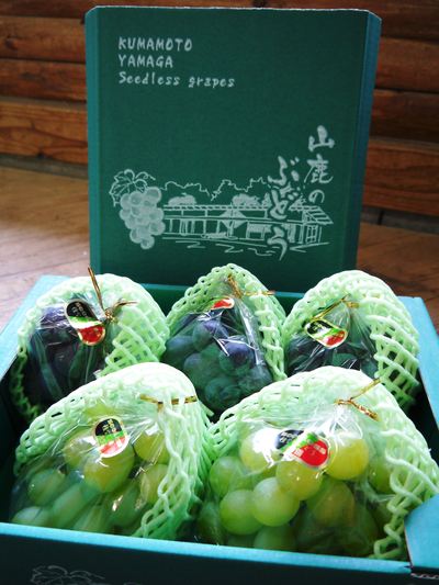 熊本ぶどう 社方園 第9回ぶどう祭り その2_a0254656_18365531.jpg