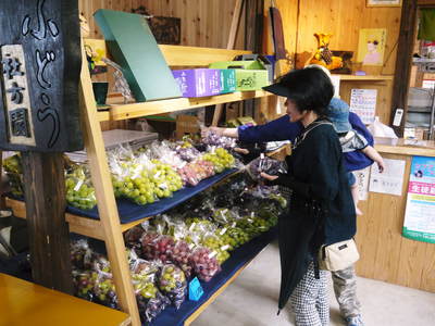 熊本ぶどう 社方園 第9回ぶどう祭り その2_a0254656_193737.jpg