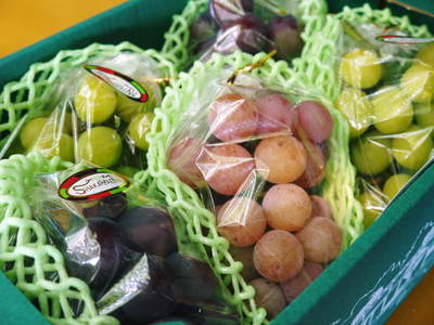 熊本ぶどう 社方園 第9回ぶどう祭り その2_a0254656_19531546.jpg