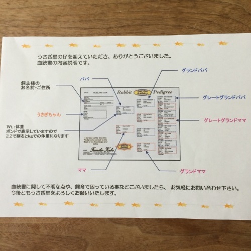 チョコの1ヶ月検診_f0193659_15390682.jpg