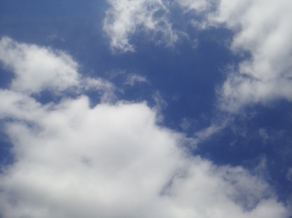 秋をつげる…_b0368362_13494126.jpg