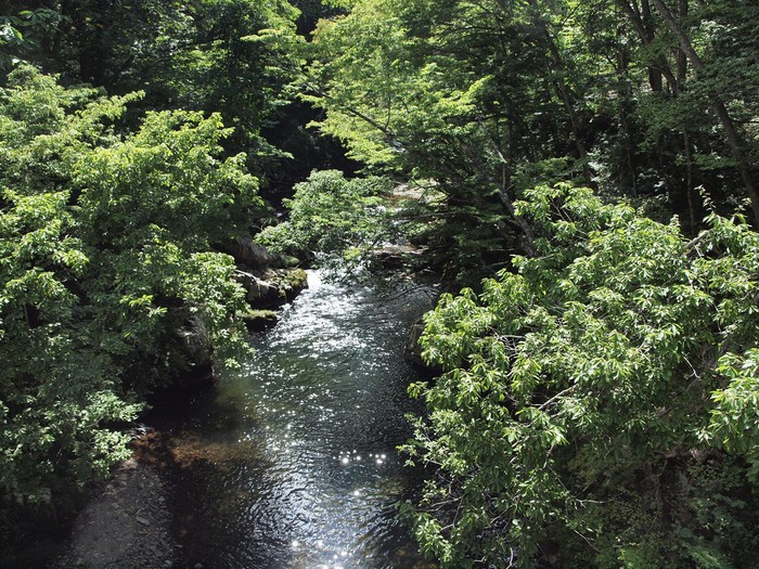 d0054276_20215056.jpg