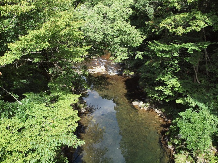 d0054276_2022893.jpg