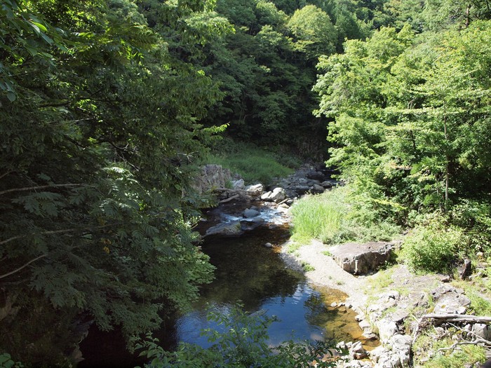 d0054276_20241883.jpg