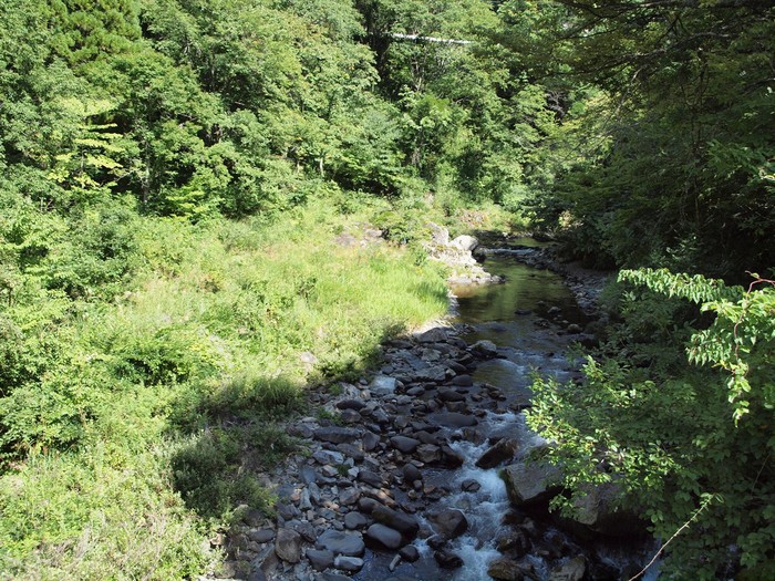 d0054276_20244882.jpg