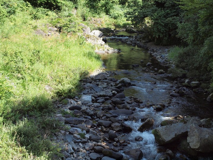 d0054276_2025163.jpg
