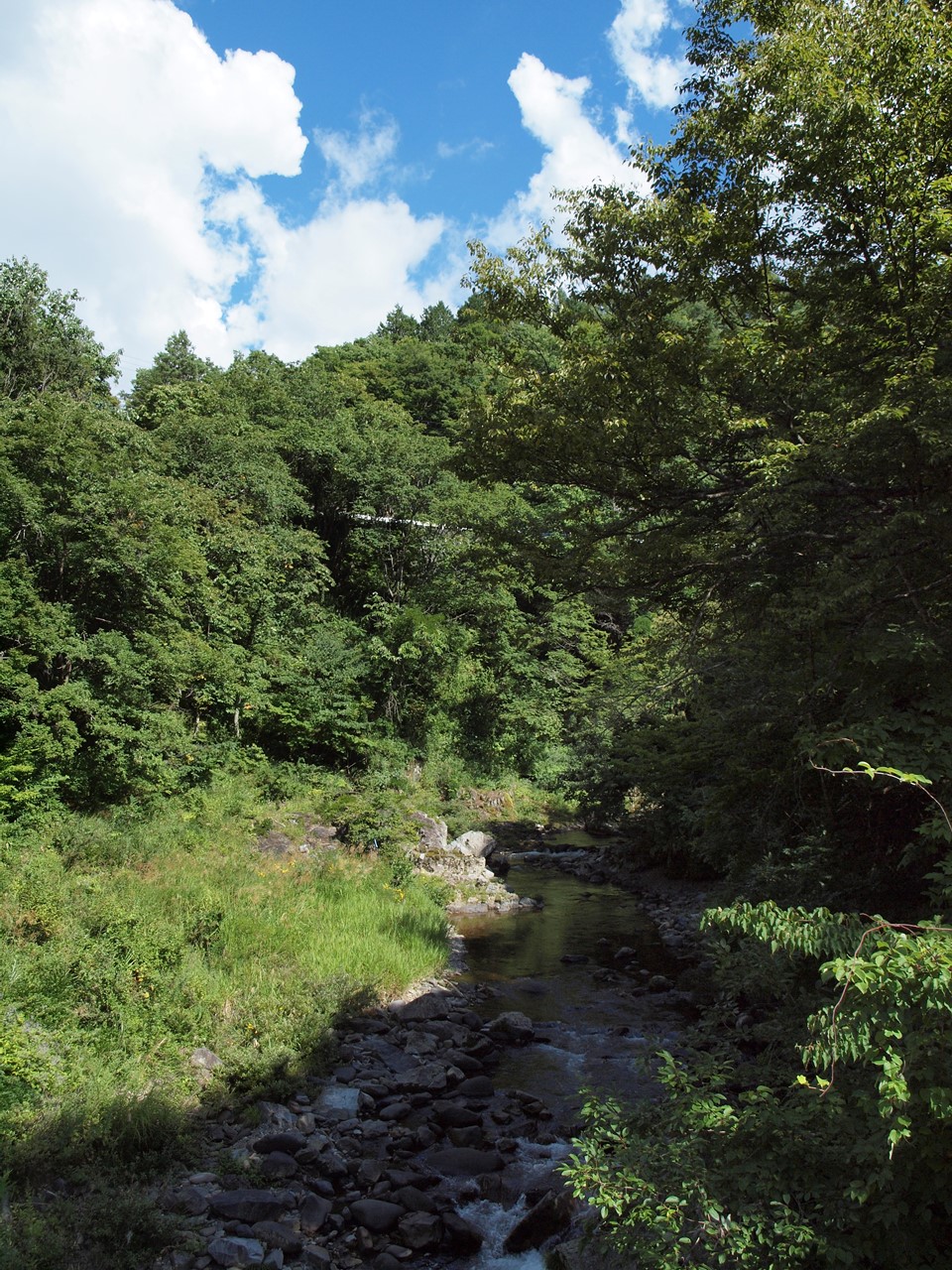 d0054276_2025225.jpg