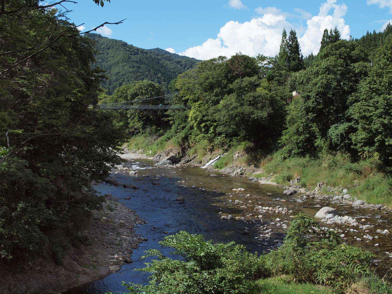 d0054276_2027713.jpg