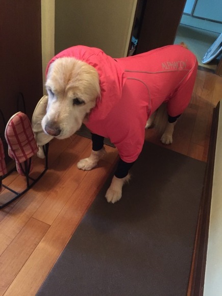 b0275998_10384468.jpeg
