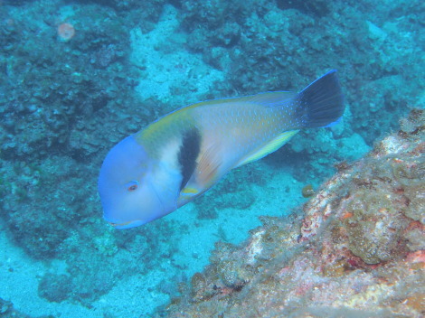 e0115199_12312324.jpg