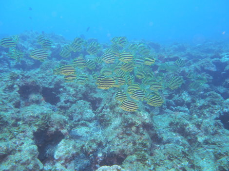e0115199_12331702.jpg
