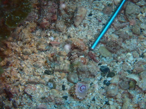 e0115199_12350160.jpg