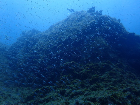 e0115199_12413626.jpg
