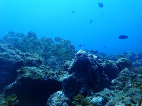 e0115199_12435113.jpg