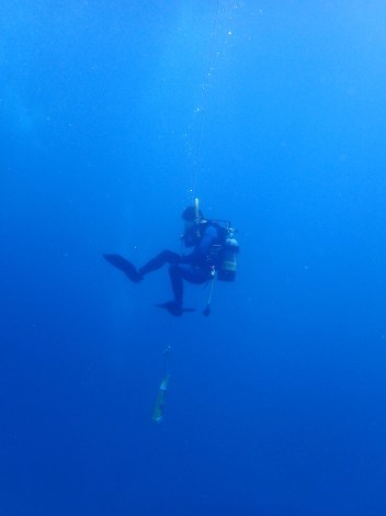 e0115199_12501826.jpg
