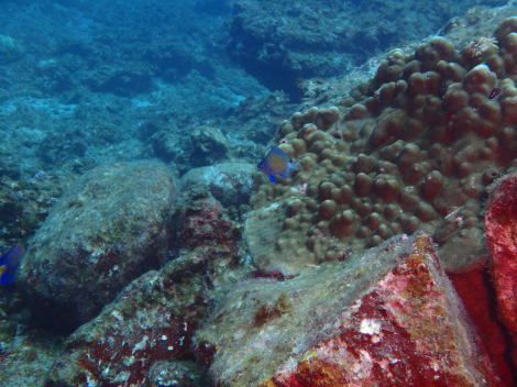 e0115199_12554173.jpg