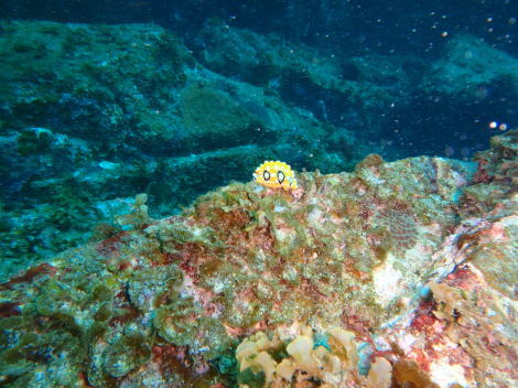 e0115199_12570623.jpg