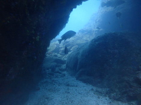 e0115199_12585351.jpg