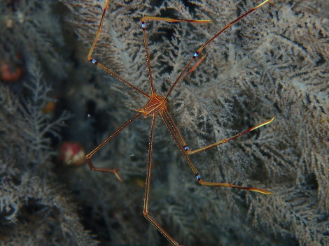 e0115199_13251688.jpg