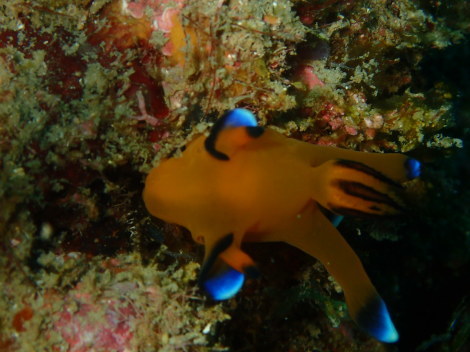 e0115199_13461152.jpg
