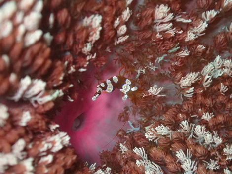 e0115199_14165133.jpg