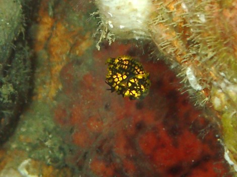 e0115199_14373914.jpg