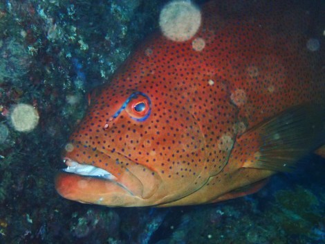 e0115199_14470901.jpg