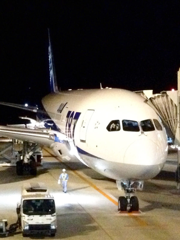 No.89 番外編 飛行機_a0047200_15511937.jpg