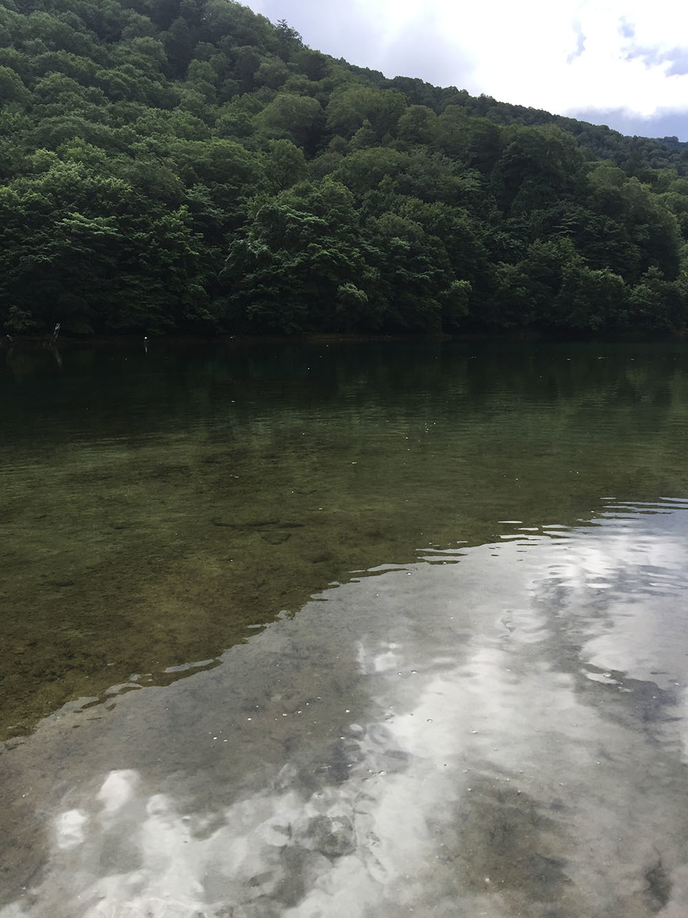 台風の置き土産_c0095801_18484791.jpg