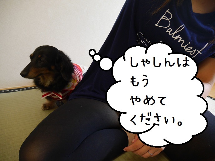 a0332203_23551400.jpg
