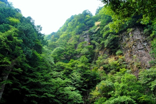 f0361605_22365333.jpg