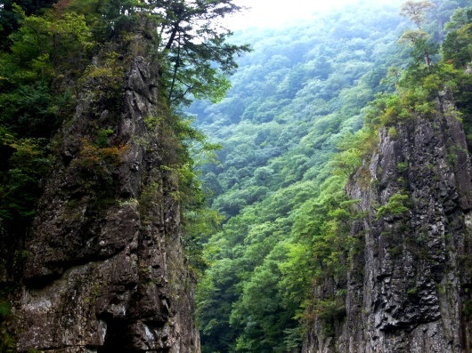 f0361605_22373993.jpg