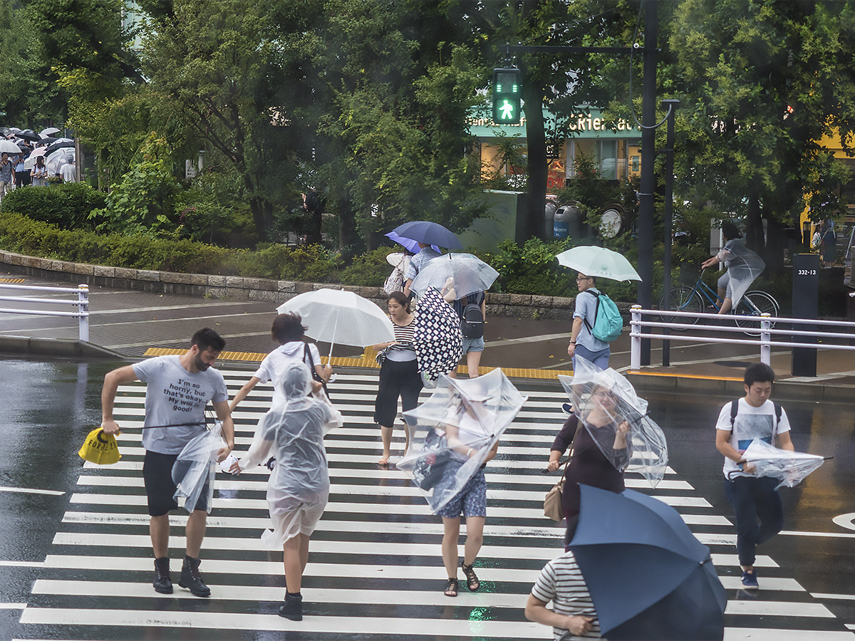 首都圏直撃　　8月22日（月）　　　5780_b0069507_3423948.jpg