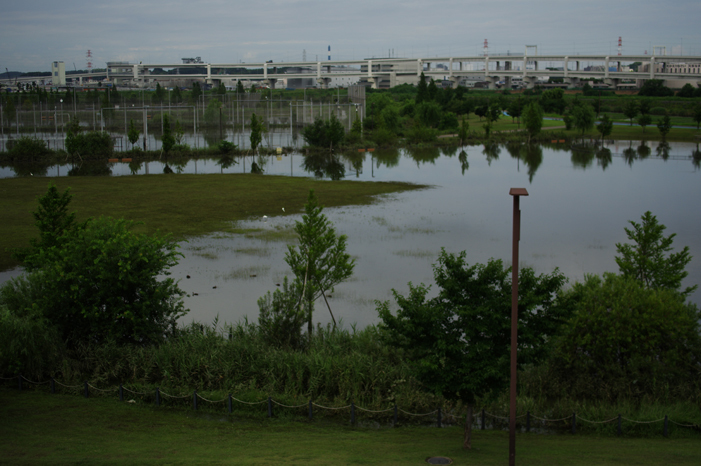 新横浜公園(多目的遊水池）浸水　１_b0151409_21113956.jpg