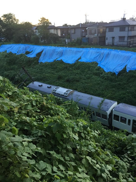 台風９号_e0215910_8463741.jpg