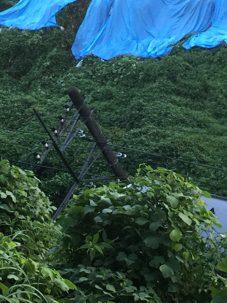 e0215910_849101.jpg