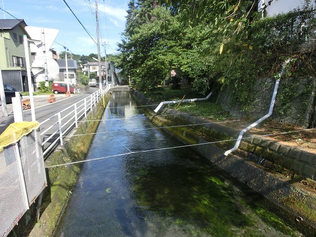 田宿川の井出緑地がサッパリしました!_f0141310_7121219.jpg