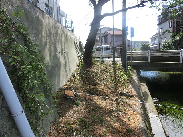 田宿川の井出緑地がサッパリしました！_f0141310_782739.jpg