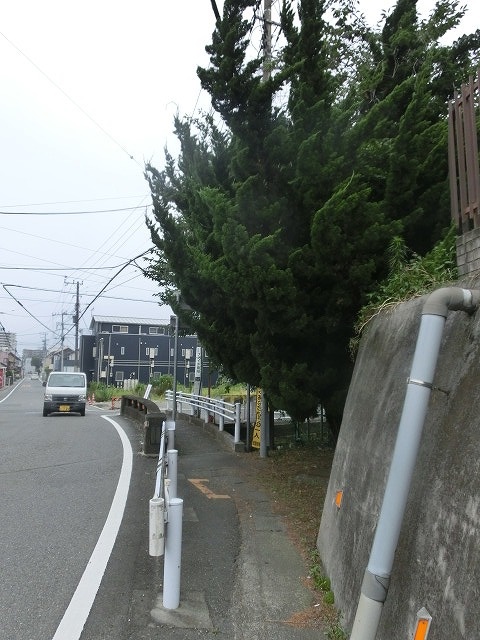 田宿川の井出緑地がサッパリしました！_f0141310_785012.jpg