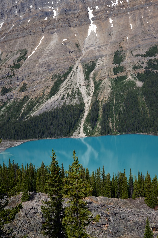 f0046614_14432241.jpg