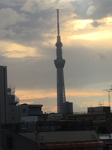 東京1日目。ずっと移動。_f0369914_18210603.jpg