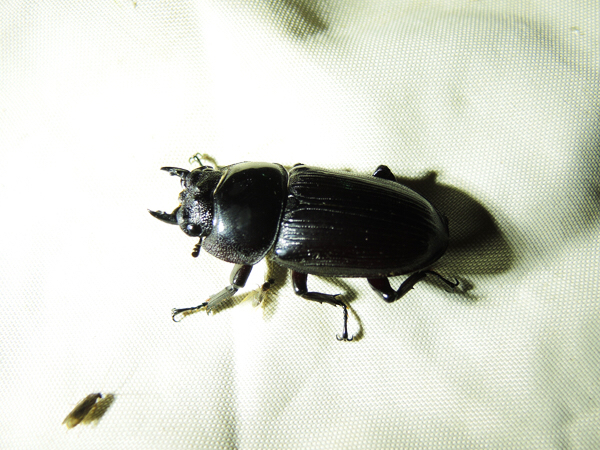 c0346119_22181743.jpg