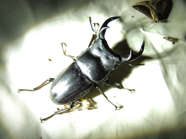 c0346119_22181816.jpg
